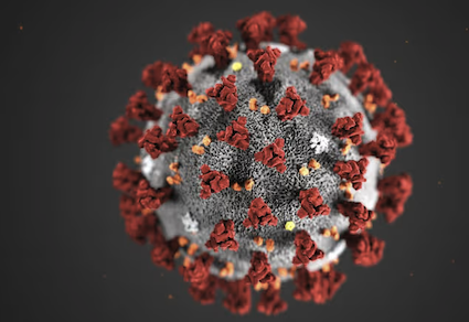 Korona-virus